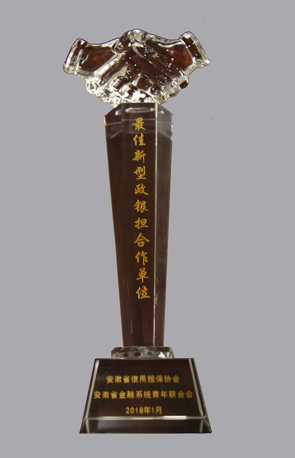 最佳新型政銀擔(dān)合作單位